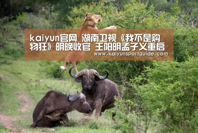 kaiyun官网_湖南卫视《我不是购物狂》明晚收官 王阳明孟子义重启甜恋(图2) kaiyun sports官网