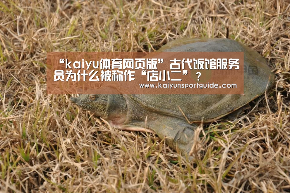 kaiyun官网