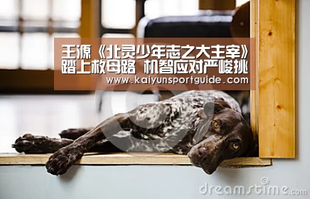 王源《北灵少年志之大主宰》踏上救母路 机智应对严峻挑战:kaiyun官网(图2) kaiyun体育网页版登录
