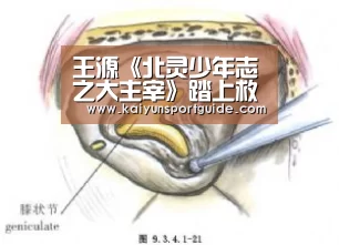 王源《北灵少年志之大主宰》踏上救母路 机智应对严峻挑战:kaiyun官网(图1) kaiyu体育网页版